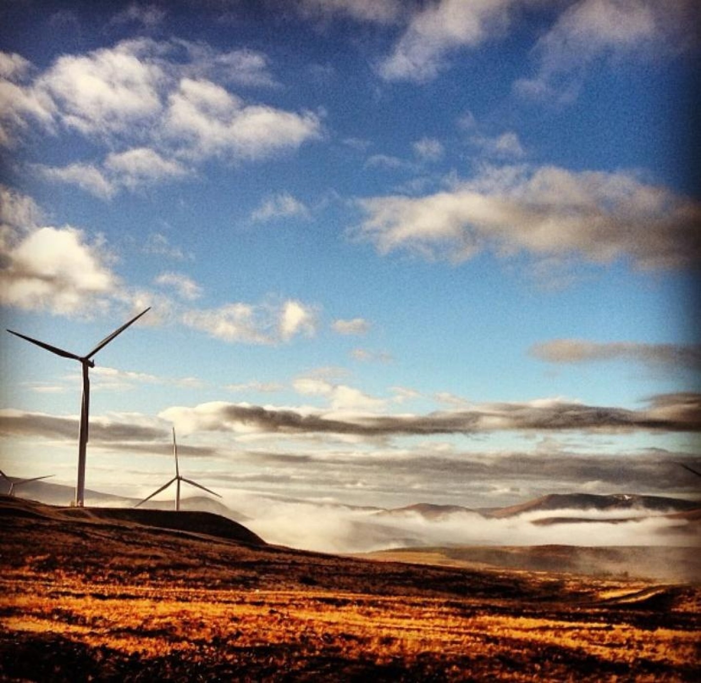 A wind farm in Scotland, clouds in the scar, one wind turbine in the distance.